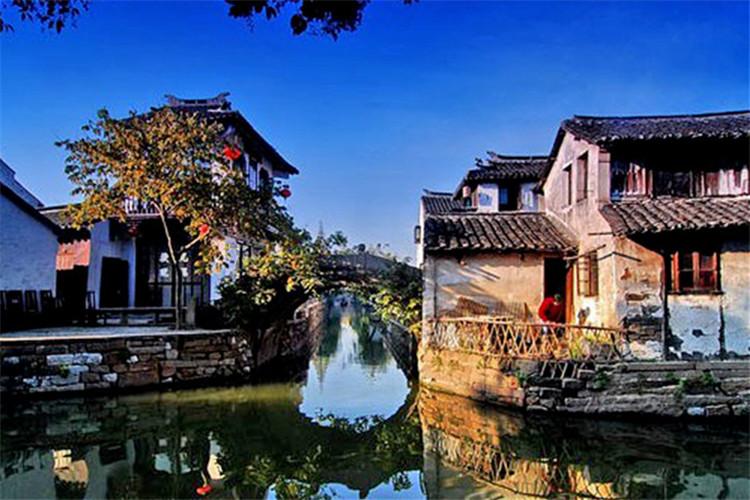 乌龟可以养在抽水马桶里吗? - 专业讨论社区
